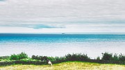 Seaside Green Meadow Horizon Photograph by Marco Sales Photography