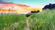 Seaside Sunrise Hiking Trails in Azores Islands Photograph by Marco Sales Photography Seaside Sunrise Hiking Trails in Azores Islands Photograph by Marco Sales Photography