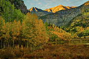 Season of Change II Photograph by Angela Moyer