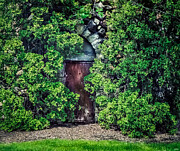 Secret Garden Door Photograph by Victoria Plut