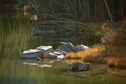 Secret Spot, Upper Twin Lakes, Mammoth Lakes, California Photograph by Bonnie Colgan Secret Spot, Upper Twin Lakes, Mammoth Lakes, California Photograph by Bonnie Colgan
