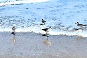 Seek and You Will Find Photograph by Merle Grenz Seek and You Will Find Photograph by Merle Grenz