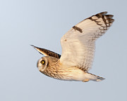 SEO Photograph by James Overesch