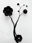 Serenade of Petals Digital Art by Samuel HUYNH