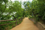 Serene Nature Walk - Ann and Roy Butler Trail by Lady Bird Lake, Austin Texas Photograph by Brigitte Blanchette Thompson Serene Nature Walk - Ann and Roy Butler Trail by Lady Bird Lake, Austin Texas Photograph by Brigitte Blanchette Thompson