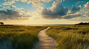 Serenity on Kiawah Island Digital Art by Sven Andersen