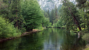 Serenity on The Merced River, Yosemite National Park, California Photograph by Bonnie Colgan Serenity on The Merced River, Yosemite National Park, California Photograph by Bonnie Colgan