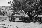 Serenity's Solitude - The Wagon Amidst New Mexico's Expanse in Black and White Photograph by Brigitte Blanchette Thompson Serenity's Solitude - The Wagon Amidst New Mexico's Expanse in Black and White Photograph by Brigitte Blanchette Thompson