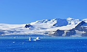 Shades of Icy Blue Photograph by Andrea Whitaker Shades of Icy Blue Photograph by Andrea Whitaker