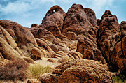 Shaped By Nature Photograph by Gene Garnace