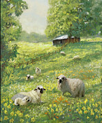 Sheepish Painting by Melinda Hughes-Berland
