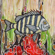 Sheepshead Fish Abstract Painting by Amy E Fraser