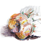 Shell 201503 Drawing by Chris N Rohrbach