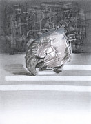 Shell 212307 Drawing by Chris N Rohrbach