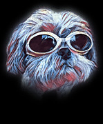 Shih Tzu Colorful Neon Dog Sunglasses Digital Art by Jacob Zelazny