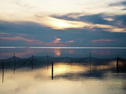 Shimmering Dawn Photograph by David Desautel