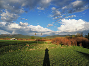Shooting Ducks in Taos Photograph by Joe Schofield