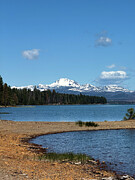 Shoreline Photograph by Leslie Brashear