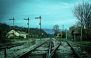 Signals Photograph by Marinko Shlakeski