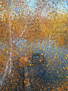 Silence at the Autumn Pond Painting by Alex Mir