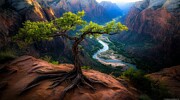 Silent Observer over Zion Digital Art by Sven Andersen