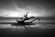 Silhouette Of Solitude - Black And White Edition Photograph by Gregory Ballos Silhouette Of Solitude - Black And White Edition Photograph by Gregory Ballos