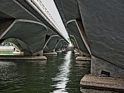 Singapore Bridge Photograph by David Desautel