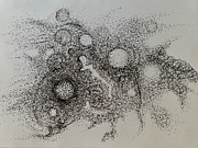 Singing Dust Drawing by Franci Hepburn
