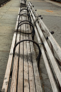 Sit Awhile Photograph by Leslie Struxness