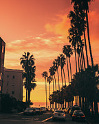 Sizzling Hot San Diego Summer Nights Photograph by Abigail Diane Photography