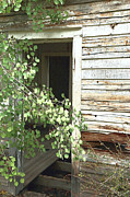 Skagway 9860 Photograph by Rick Perkins