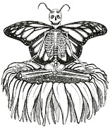 Skeleton Fairy on Flower Drawing by Kathy Pope Skeleton Fairy on Flower Drawing by Kathy Pope