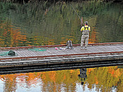 Skunked Photograph by Suzy Piatt