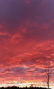 Sky on Fire Photograph by Matthew Adelman