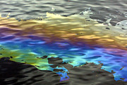 Slick Photograph by JJ Whitley Slick Photograph by JJ Whitley