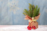 Small Christmas Tree w/Red Glass Ornaments Photograph by Cindy Shebley