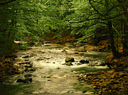 Small mountain river Digital Art by Edward Galagan Small mountain river Digital Art by Edward Galagan