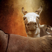 Smirk Digital Art by Linda Lee Hall
