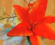 Snap Shot Flower  Photograph by Cherry Vercher