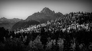 Sneffels Morning Light Monochrome Photograph by Dan Sproul Sneffels Morning Light Monochrome Photograph by Dan Sproul