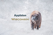 Snow Bear Appleton Wisonsin Mixed Media by Elisabeth Lucas