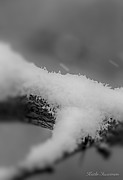 Snow Effects Photograph by Kathi Isserman