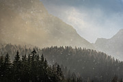 Snow Flakes in Golden Light Photograph by Joanne Eastope