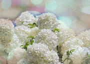 Snowball Flowers Digital Art by Amy Dundon