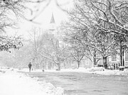 Snowy Run in February Photograph by Rachel Morrison