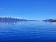 Bluer Than Blue Photograph by Andrea Whitaker Bluer Than Blue Photograph by Andrea Whitaker