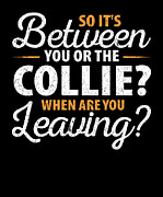 So Its Between You or the Collie Digital Art by Jacob Zelazny