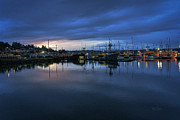 Soft Bay morning light Photograph by Bill Posner
