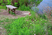Solitude's Embrace - A Wooden Bench by the Tranquil Waters Photograph by Brigitte Blanchette Thompson Solitude's Embrace - A Wooden Bench by the Tranquil Waters Photograph by Brigitte Blanchette Thompson
