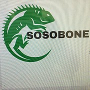 Sosobone $ Photograph by Trevor A Smith